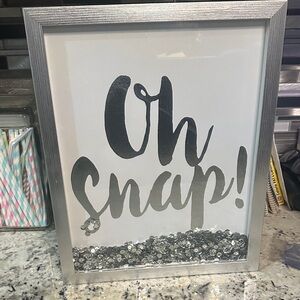 Oh Snap! Silver Framed Wall Art